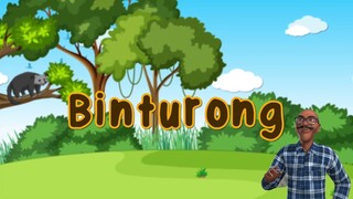 CERIA (Cerdas dan Bahagia) - Belajar Berhitung Binturong