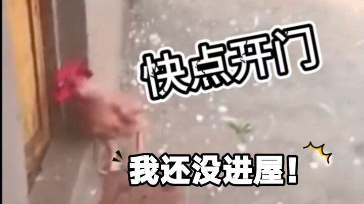 Xem ra các bạn chỉ nhớ đến tôi mỗi khi đến dịp lễ Tết, thôi vậy, cái nhà này, không cần cũng được!