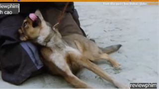 châu tinh trì dê gái p2 #reviewphimdinhcao