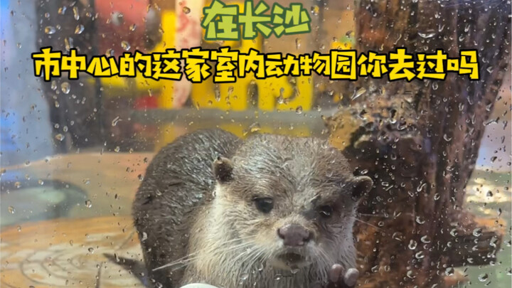 คงไม่มีใครยังไม่เคยมาสวนสัตว์ Zoolung ใช่ไหม!