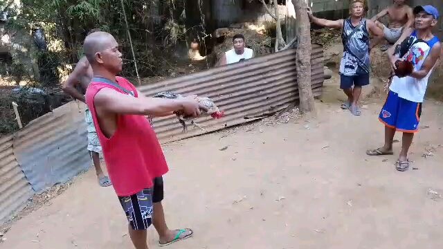 sariling palahi bulik pang 2x na nya....