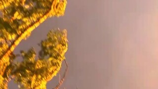 如何与对方手机同步不被发现(我们到哪去找老赖的下落)⏩查询➕微信6435148⏪