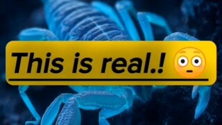 A glowing predator in the dark 😳