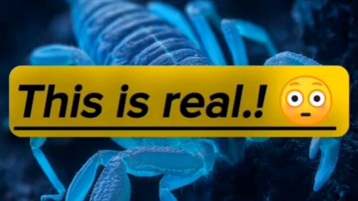 A glowing predator in the dark 😳