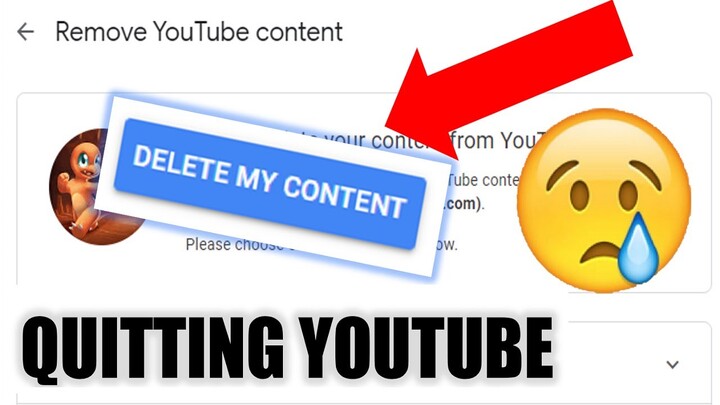 I'm Quitting Youtube... (Gone Emotional)