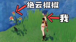 无派蒙原人偷渡璃月捡辣椒，香菱笑嘻了？！！