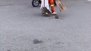 Hey, I'm no trash!