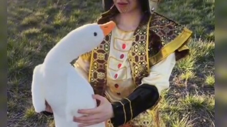 谁说内娱没有好剧本