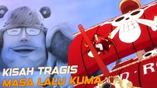 Koneksi Ras Buccaneer dengan Joy Boy ini ditegaskan oleh kisah SUN GOD NIKA
