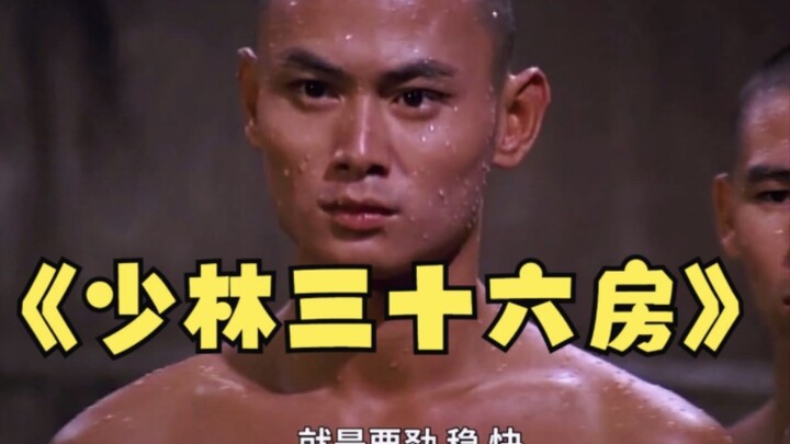 Nonton sekaligus Shaolin 36 Kamar: Perjalanan awal latihan Xie Jianxian, dengan Suhu Sande tekun ber