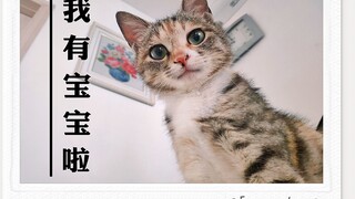 Er Ya finally gave birth! Cloud's parents have officially become Cloud's grandparents!