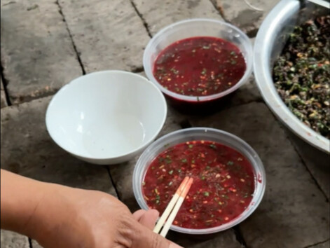 Tôi đã ăn một ít tiết bò sống lạnh trộn với cá sống, chơi bóng đá, và sau đó đi đại tiện.