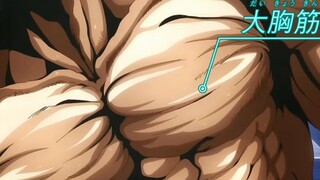 范马勇次郎的肌肉和他一比那纯度实在是太低了！