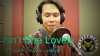 Isn’t She Lovely | Brian Gilles cover