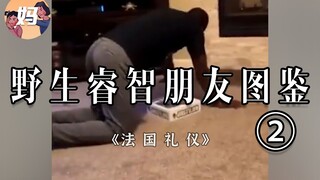 【野生人类图鉴】我与我的睿智朋友2.0 【妈见打】