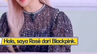 Cuộc sống thường ngày của BlackPink