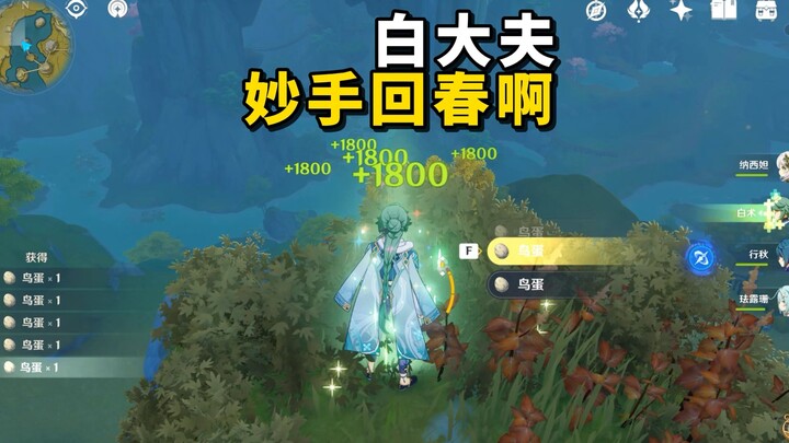 Bạch đại phu, tay nghề cao siêu, hồi sinh người chết!