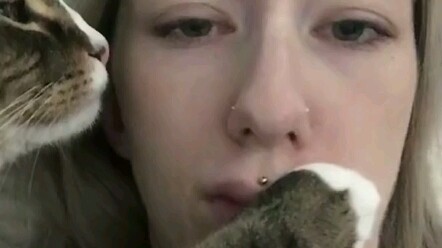 This cat is totally a human!