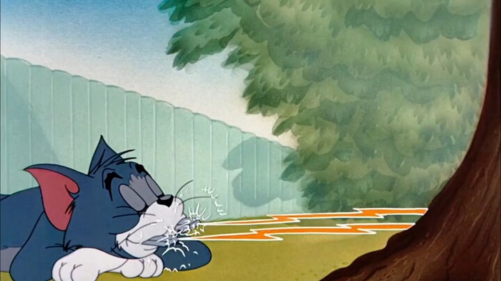 No one can resist watching an episode of Tom and Jerry while staying up late #TomandJerry#Tom#Jerry