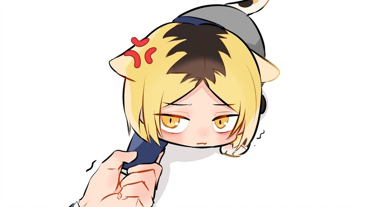 【Haikyuu!】I picked up a cat and my family