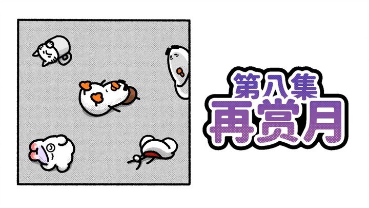 第八天