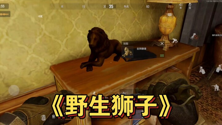 Teammate: Did your lion come here the long way?