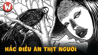 Giải Thích Chi Tiết “Hắc Điểu” – Junji Ito