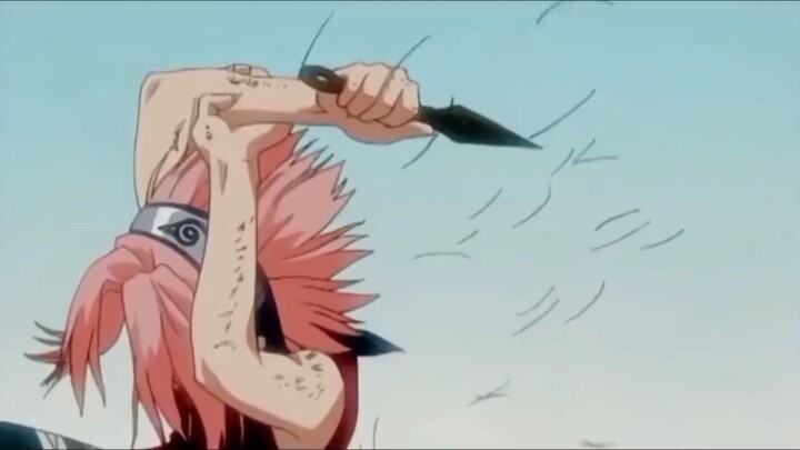 sakura