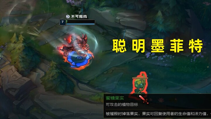 Thông Minh Mochi Totoro