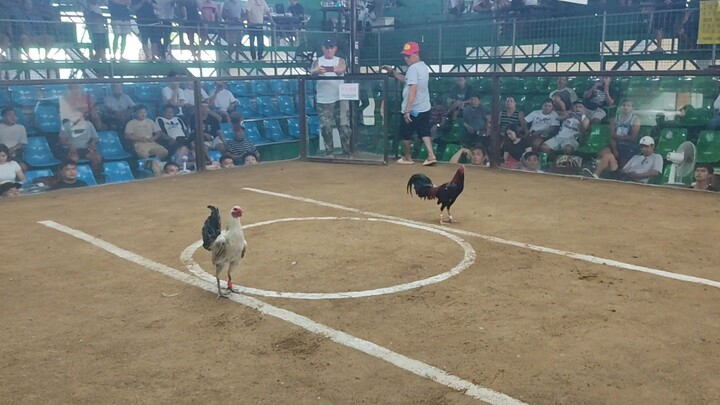 2HITS DOUBLE ENTRY 1ST FIGHT LOSS SI KANAWAYON HENNIE LABAS BITUKA JAN. 11, 2026