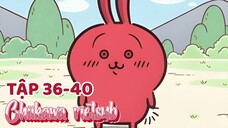 Chiikawa vietsub tập 36-40