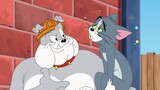 12.Tom and Jerry Hd Collection.