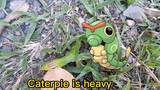 Real Caterpie