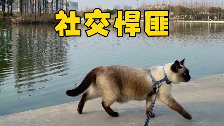 ขอแนะนำว่าอย่าไร้เหตุผลเกินไป ที่นี่ไม่ใช่บ้านคุณ!