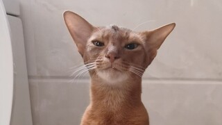 السحب الثقيل، مجموعة الإرهاق