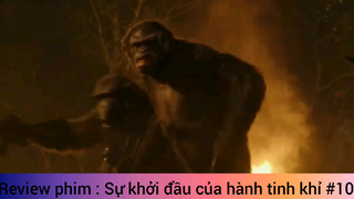 Review phim : Sự khởi đầu của hành tinh khỉ #10