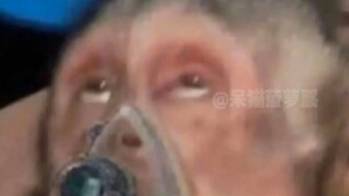 لا يتحقق إلا العالم الذي يتألم فيه المعلم