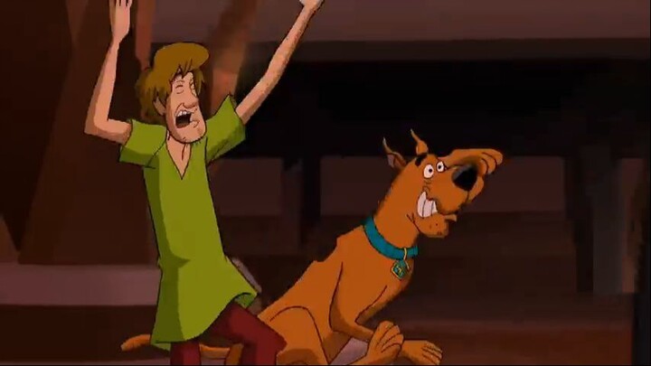 scooby-doo-and-krypto-too-official