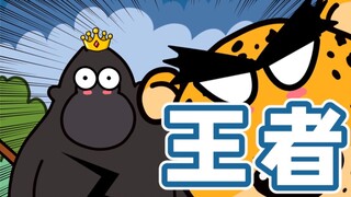 【กอริลลา】ราชาแห่งลิงกลับขี้อายและกินแต่ผัก?