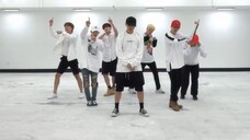 BTS Fire Mirrored Dance Practice