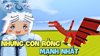 Lần đầu khám phá Những Con Rồng Mạnh Nhất trong Mini World và cái kết bất ngờ | Meowpeo