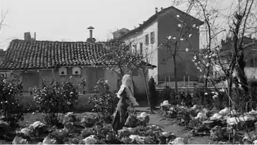 Miracle in Milan (1951) [English Subtitles]