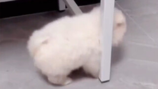 It's a bit silly, but really cute!