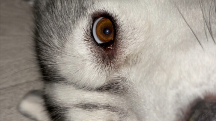 بعدما شاهدت شروق الشمس ورجعت للبيت نمت حتى الآن، وأشعر أنني لن أنام الليلة أيضًا.