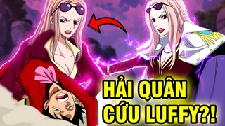 NHỮNG LẦN LUFFY ĐƯỢC HẢI QUÂN CỨU GIÚP | NHỮNG HẢI QUÂN TỪNG GIÚP ĐỠ BĂNG MŨ RƠM