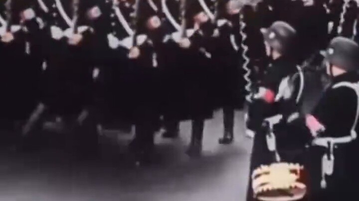 Sói đấu với Hitler