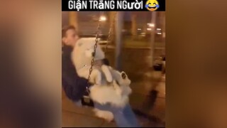 Sen nó cho té sấp mặt! Giận trắng người luôn 😂thucung yeudongvat animals pet dog foryou fyp thucungvuinhon dongvathaihuoc
