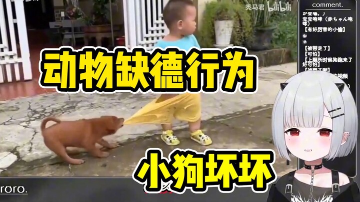 宝宝看动物缺德行为大赏