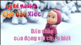 Cô bé masha và chú gấu xiếc tập 3: Dấu chân của động vật chưa biết | htv3 dreamtv lồng tiếng