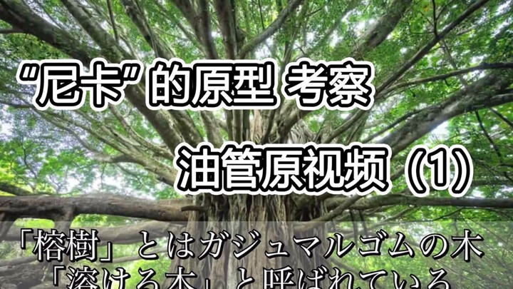 【海贼】知道了原型！尼卡和乔伊波伊的真面目！！（1）2022.03.14，油管原视频